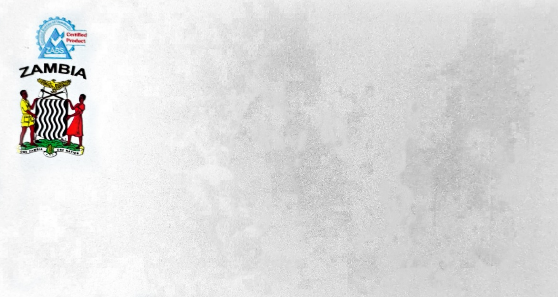 Standard Size License Plate